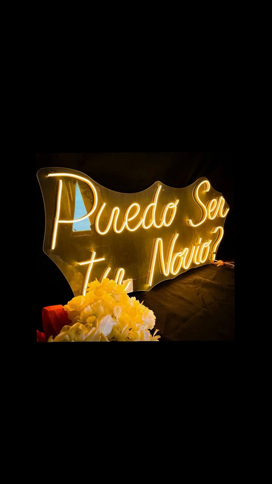 Puedo ser tu novio?